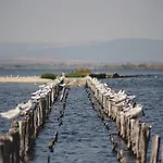 Sea&history